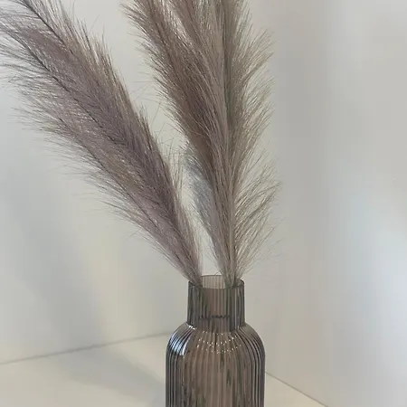 דירה Vanagupe Sunrise *