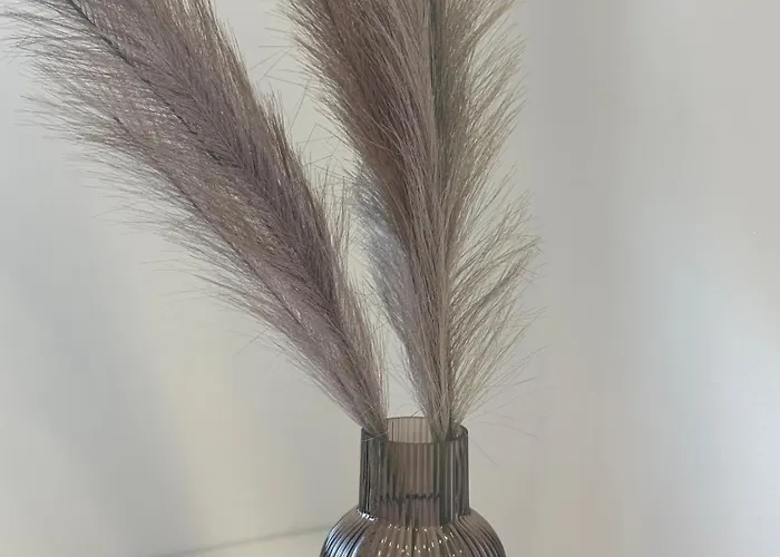 Apartman Vanagupe Sunrise *